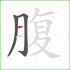 腹的笔顺第3画：横