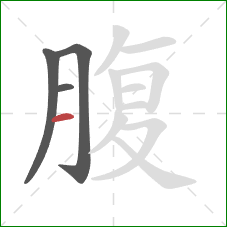 腹的笔顺第4画：横