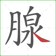 腺的笔顺第13画：捺