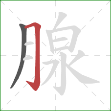 腺的笔顺第2画：横折钩