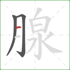 腺的笔顺第3画：横