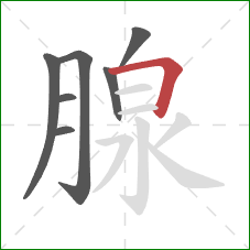 腺的笔顺第7画：横折