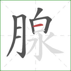 腺的笔顺第8画：横