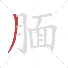 腼的笔顺第1画:撇 腼的笔顺第1画:撇