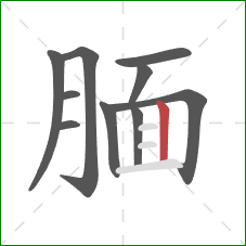 腼的笔顺第10画:竖 腼的笔顺第10画:竖