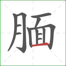 腼的笔顺第13画:横 腼的笔顺第13画:横