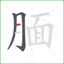 腼的笔顺第3画:横 腼的笔顺第3画:横