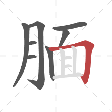 腼的笔顺第8画:横折 腼的笔顺第8画:横折