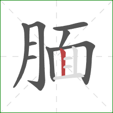 腼的笔顺第9画:竖 腼的笔顺第9画:竖