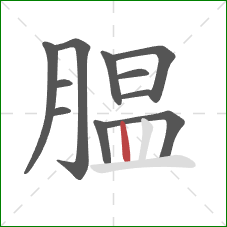 腽的笔顺第11画:竖 腽的笔顺第11画:竖