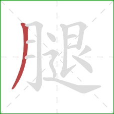 腿的笔顺第1画：撇