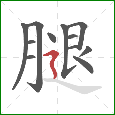 腿的笔顺第12画：横折折撇