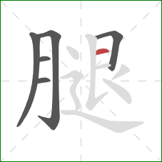 腿的笔顺第6画：横