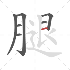 腿的笔顺第7画：横