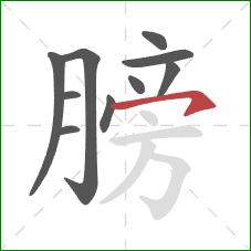 膀的笔顺第10画：横钩