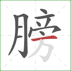 膀的笔顺第12画：横