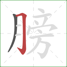 膀的笔顺第2画：横折钩