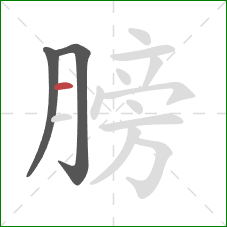 膀的笔顺第3画：横