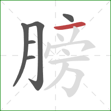 膀的笔顺第6画：横