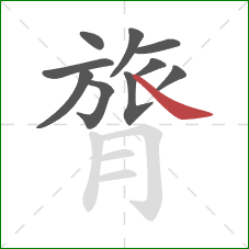 膂的笔顺第10画：捺