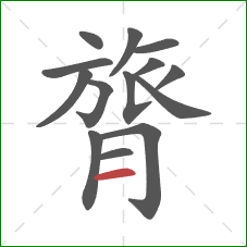 膂的笔顺第14画：横