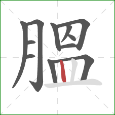 膃的笔顺第12画：竖