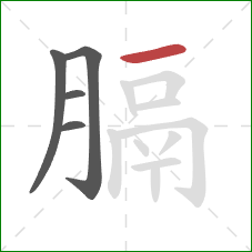 膈的笔顺第5画:横 膈的笔顺第5画:横