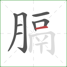 膈的笔顺第8画:横 膈的笔顺第8画:横