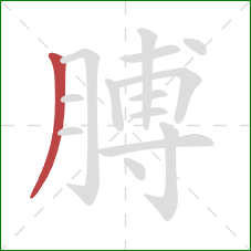 膊的笔顺第1画：撇