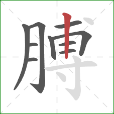 膊的笔顺第10画：竖