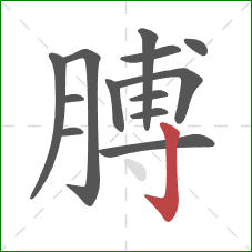 膊的笔顺第13画：竖钩