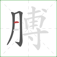 膊的笔顺第3画：横