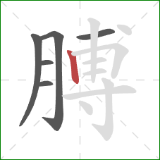 膊的笔顺第6画：竖