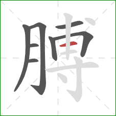 膊的笔顺第8画：横