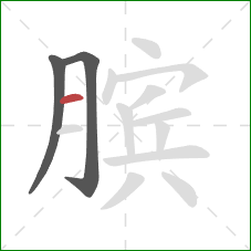 膑的笔顺第3画：横