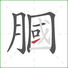 膕的笔顺第11画：提