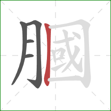 膕的笔顺第5画：竖