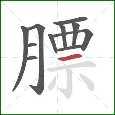 膘的笔顺第11画:横 膘的笔顺第11画:横