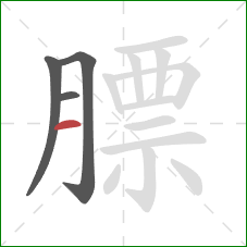 膘的笔顺第4画:横 膘的笔顺第4画:横