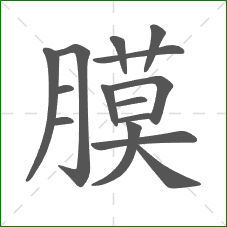 膜的部首 膜的部首