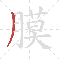 膜的笔顺第1画:撇 膜的笔顺第1画:撇