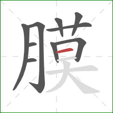 膜的笔顺第10画:横 膜的笔顺第10画:横