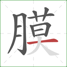 膜的笔顺第12画:横 膜的笔顺第12画:横