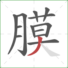 膜的笔顺第13画:撇 膜的笔顺第13画:撇