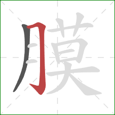 膜的笔顺第2画:横折钩 膜的笔顺第2画:横折钩