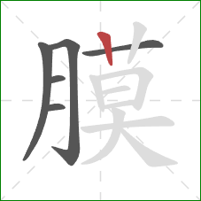 膜的笔顺第6画:竖 膜的笔顺第6画:竖