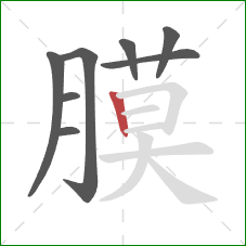 膜的笔顺第8画:竖 膜的笔顺第8画:竖