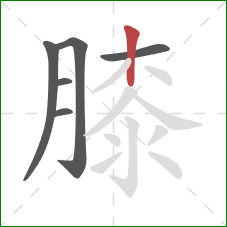 膝的笔顺第6画：竖