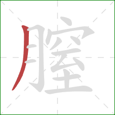 膣的笔顺第1画：撇