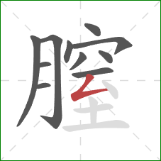 膣的笔顺第11画：撇折